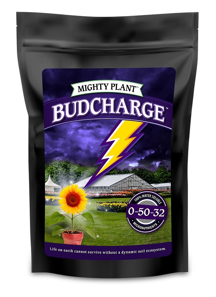 BudCharge:  High Density PK Powers Bloom and Fruit 82
